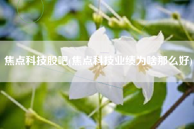焦点科技股吧(焦点科技业绩为啥那么好)