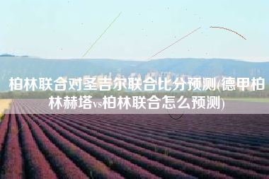 柏林联合对圣吉尔联合比分预测(德甲柏林赫塔vs柏林联合怎么预测)