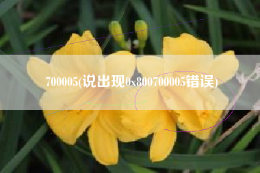 700005(说出现0x800700005错误)