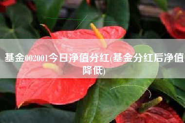 基金002001今日净值分红(基金分红后净值降低)