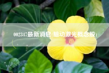 002347最新消息(脑动激光概念股)