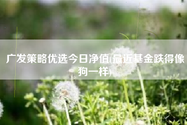 广发策略优选今日净值(最近基金跌得像狗一样)