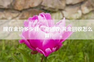 现在金价多少钱一克回收(黄金回收怎么算)