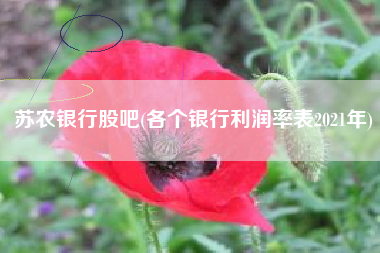 苏农银行股吧(各个银行利润率表2021年)
