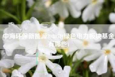中海环保新能源398051(绿色电力板块基金有哪些)
