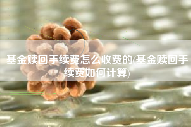 基金赎回手续费怎么收费的(基金赎回手续费如何计算)