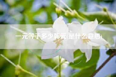 一元等于多少韩元(是什么意思)