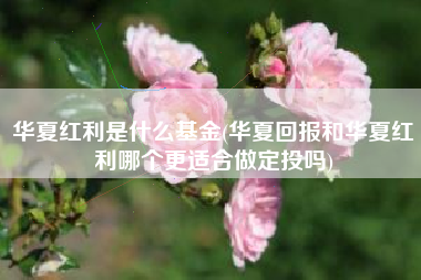 华夏红利是什么基金(华夏回报和华夏红利哪个更适合做定投吗)