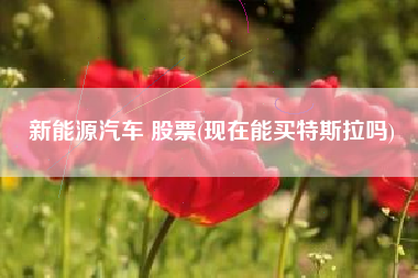 新能源汽车 股票(现在能买特斯拉吗)