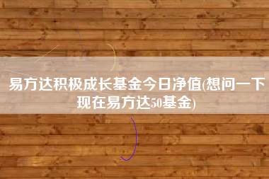 易方达积极成长基金今日净值(想问一下现在易方达50基金)
