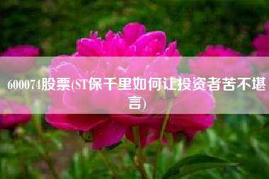 600074股票(ST保千里如何让投资者苦不堪言)