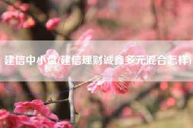 建信中小盘(建信理财诚鑫多元混合怎样)