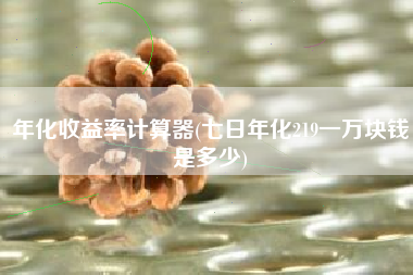 年化收益率计算器(七日年化219一万块钱是多少)