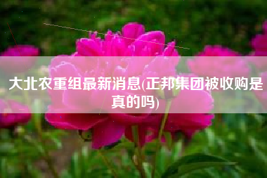 大北农重组最新消息(正邦集团被收购是真的吗)