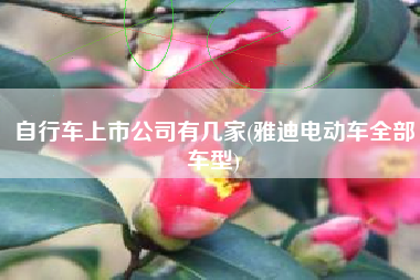 自行车上市公司有几家(雅迪电动车全部车型)