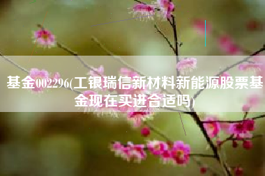 基金002296(工银瑞信新材料新能源股票基金现在买进合适吗)
