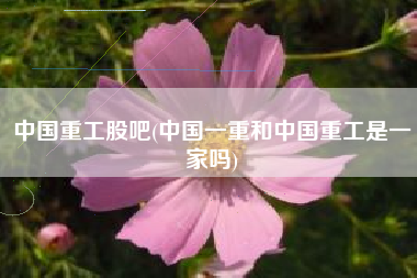 中国重工股吧(中国一重和中国重工是一家吗)