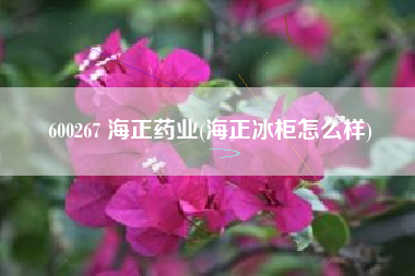 600267 海正药业(海正冰柜怎么样)