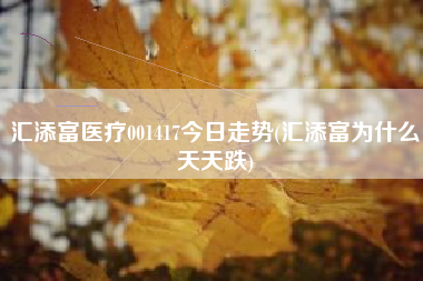 汇添富医疗001417今日走势(汇添富为什么天天跌)