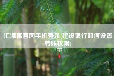 汇添富官网手机登录(建设银行如何设置转账权限)