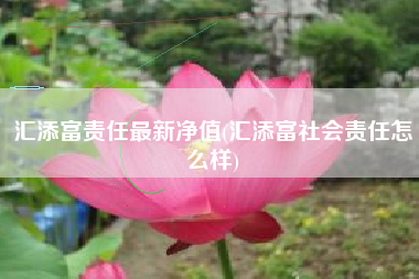 汇添富责任最新净值(汇添富社会责任怎么样)