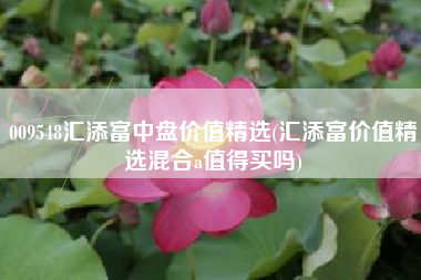 009548汇添富中盘价值精选(汇添富价值精选混合a值得买吗)