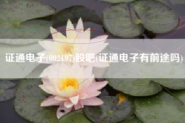 证通电子(002197)股吧(证通电子有前途吗)