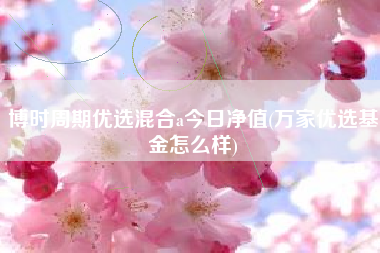 博时周期优选混合a今日净值(万家优选基金怎么样)
