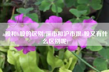 a股和h股的区别(深市和沪市跟a股又有什么区别呢)
