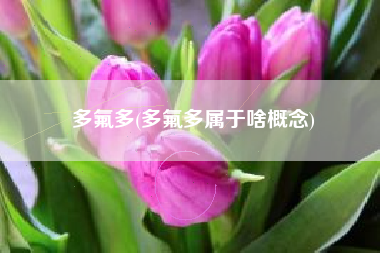多氟多(多氟多属于啥概念)