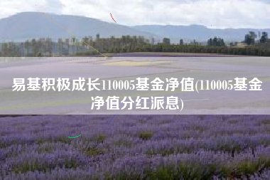 易基积极成长110005基金净值(110005基金净值分红派息)