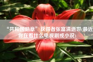 “共和国勋章”获得者张富清逝世(最近你在看什么电视剧或小说)