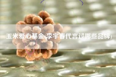 玉米爱心基金(李宇春代言过哪些品牌)