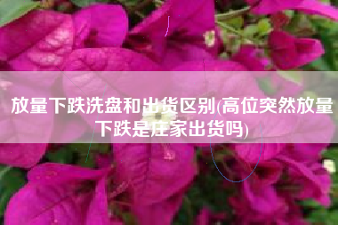 放量下跌洗盘和出货区别(高位突然放量下跌是庄家出货吗)