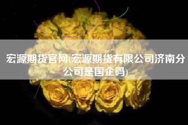 宏源期货官网(宏源期货有限公司济南分公司是国企吗)