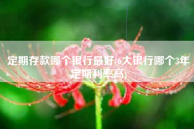 定期存款哪个银行最好(6大银行哪个3年定期利率高)