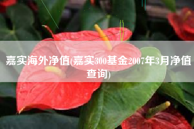 嘉实海外净值(嘉实300基金2007年3月净值查询)