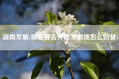 湖南发展(朋友要去外地发展该怎么回复)