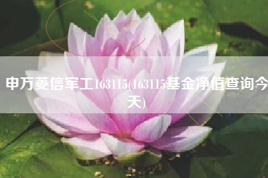 申万菱信军工163115(163115基金净值查询今天)