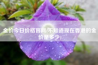金价今日价格官网(不知道现在香港的金价是多少)