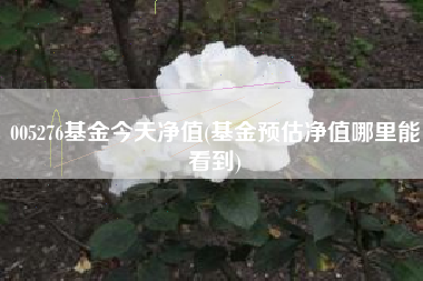 005276基金今天净值(基金预估净值哪里能看到)