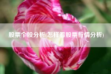 股票个股分析(怎样看股票行情分析)