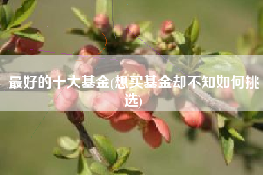 最好的十大基金(想买基金却不知如何挑选)