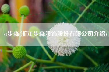st步森(浙江步森服饰股份有限公司介绍)