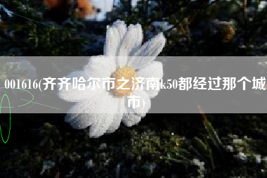 001616(齐齐哈尔市之济南k50都经过那个城市)
