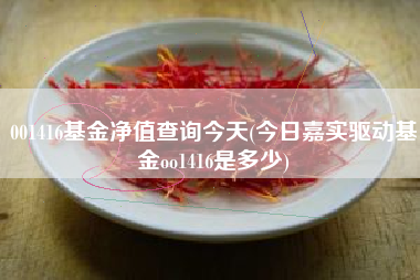 001416基金净值查询今天(今日嘉实驱动基金oo1416是多少)