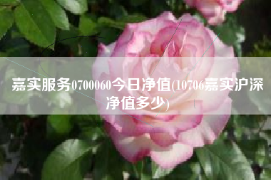 嘉实服务0700060今日净值(10706嘉实沪深净值多少)