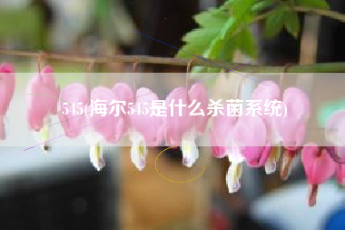 545(海尔545是什么杀菌系统)