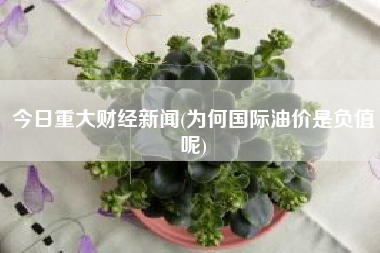 今日重大财经新闻(为何国际油价是负值呢)