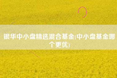 银华中小盘精选混合基金(中小盘基金哪个更优)